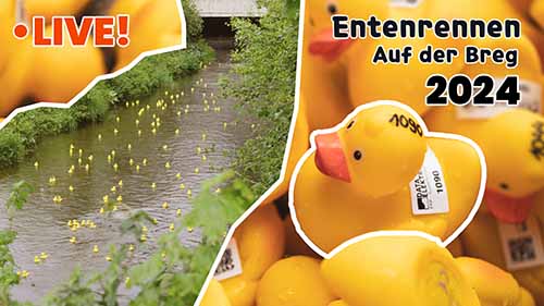 Entenrennen auf der Breg 2024