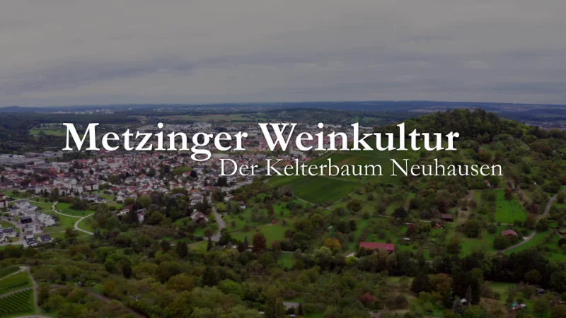 Metzinger Weinkultur