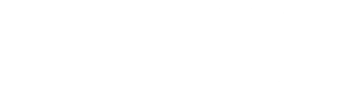 Logo Entenrennen Furtwangen